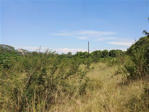 7 ha Farm in Hazyview