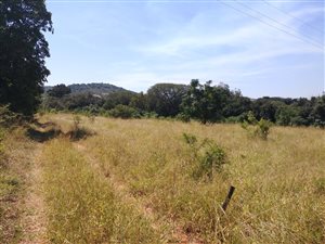 7 ha Farm in Hazyview