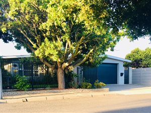3 Bed House in Oakdale