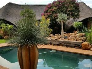 9 ha Farm in Rietfontein