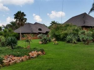 9 ha Farm in Rietfontein