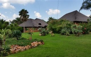 9 ha Farm in Rietfontein