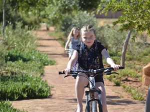 726 m² Land available in Van Der Hoff Park
