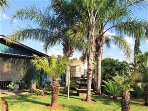 3 Bed House in Jan Niemand Park
