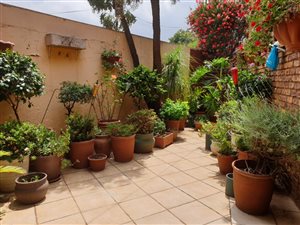1 Bed Apartment in Forest Hill