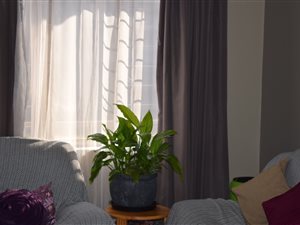 2 Bed Apartment in Moregloed