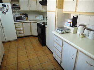 3 Bed House in Pioneer Park