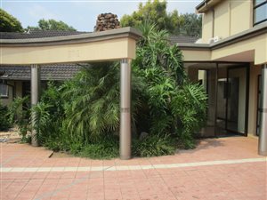 9 Bed House in Nimrod Park