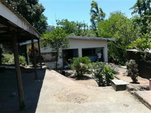 5 Bed House in Townview