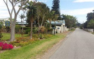 2.5 ha Farm in Albertinia