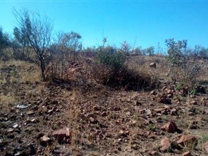 59 ha Land available in Mamelodi