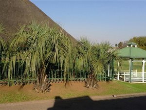 2 Bed Townhouse in Middelburg South