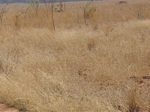 1 ha Land available in Erasmia