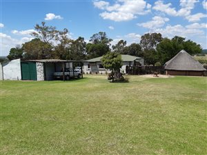 11 ha Farm in Tierpoort