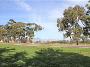 8.2 ha Farm in Heldervue