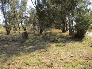 4.5 ha Farm in Walkers Fruit Farms