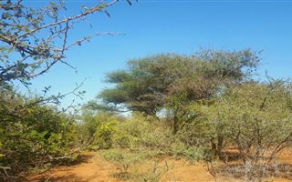 5761 m² Land available in Hoedspruit Wildlife Estate