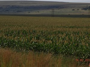 600 ha Farm in Bronkhorstspruit