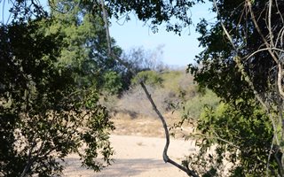 9800 m² Land available in Moditlo Nature Reserve