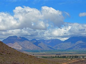 84 ha Farm in Worcester and surrounds