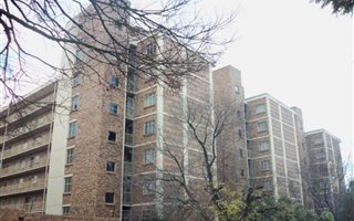 Bachelor apartment in Silverton
