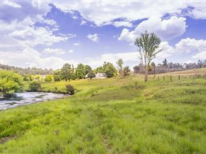 2196 m² Land available in Underberg