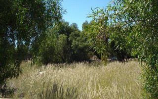 892 m² Land available in Hopetown