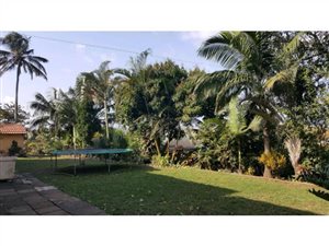 7 Bed House in Dawnside