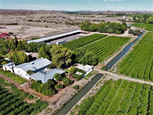 11 ha Farm in Keimoes