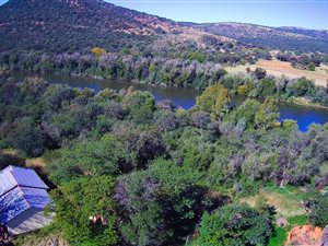 8 ha Farm in Parys