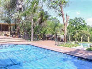 7 Bed House in Bryanston West