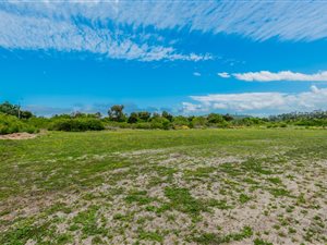 1.9 ha Farm in Wittedrift