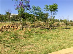 1342 m² Land available in Kameeldrift East
