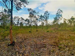 3.8 ha Land available in Greenbushes