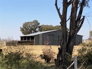 271 ha Farm in Lichtenburg