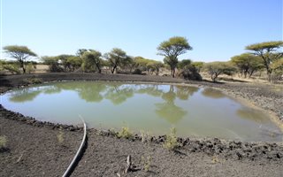 41 ha Farm in Bela-Bela (Warmbaths)