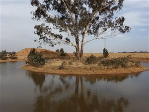 116 ha Farm in Walkers Fruit Farms