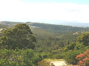 748 m² Land available in Plettenberg Bay