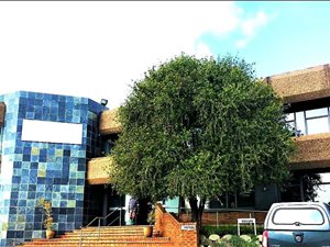 1118 m² Office Space in Bedfordview