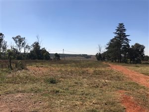149.2 ha Farm in Bapsfontein