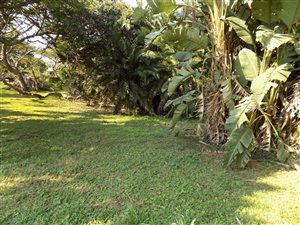 1336 m² Land available in Elysium