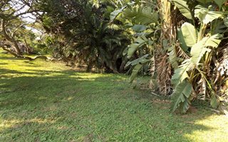 1336 m² Land available in Elysium