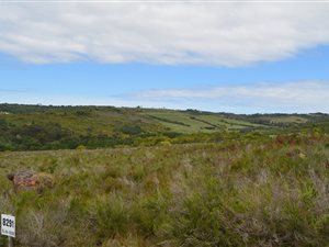 1692 m² Land available in Brackenridge