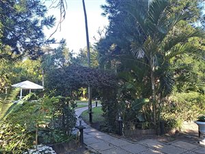 6073 ha Farm in Compensation Beach