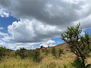 85 ha Farm in Dullstroom