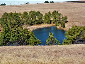 56 ha Land available in Dullstroom
