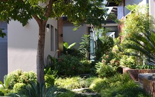 3 Bedroom House in Copperleaf