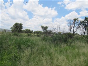 137 ha Farm in Bronkhorstspruit