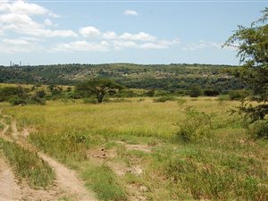 471 ha Farm in Stanger
