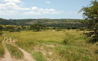 471 ha Farm in Stanger